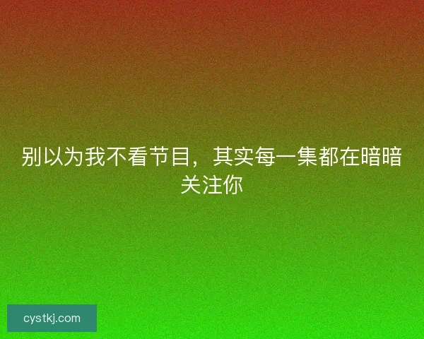 别以为我不看节目，其实每一集都在暗暗关注你