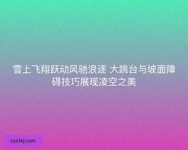 雪上飞翔跃动风驰浪逐 大跳台与坡面障碍技巧展现凌空之美